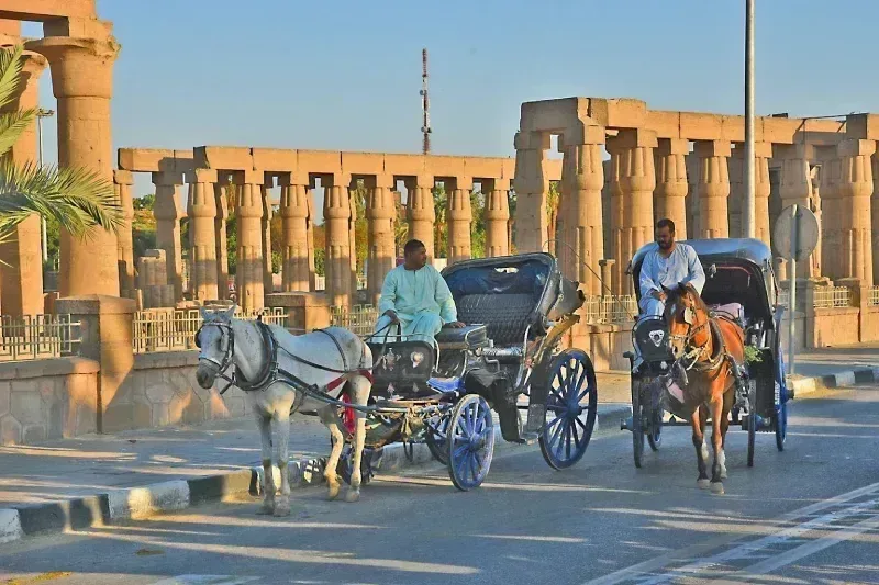 Horse carriage to Edfu Temple — traditional approach included in the Aswan day tour